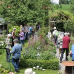IMG_4994 reduziert