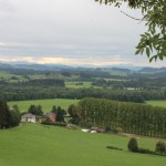 IMG_6903