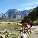 Pitztal Bild 2