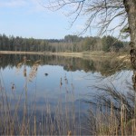 IMG_8590 komprimiert